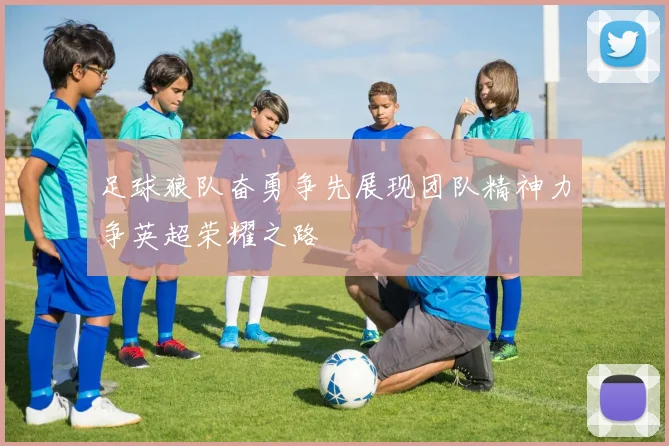 足球狼队奋勇争先展现团队精神力争英超荣耀之路