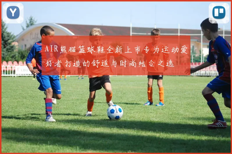 AIR熊猫篮球鞋全新上市专为运动爱好者打造的舒适与时尚结合之选
