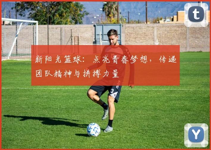 新阳光篮球：点亮青春梦想，传递团队精神与拼搏力量