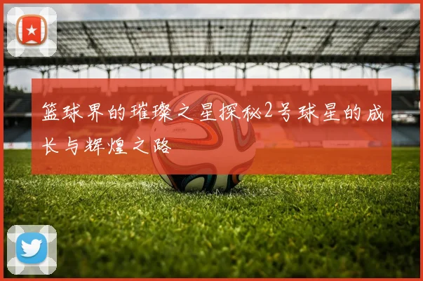 篮球界的璀璨之星探秘2号球星的成长与辉煌之路