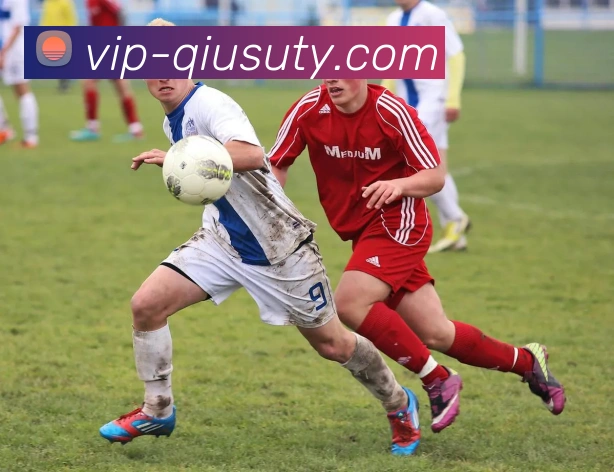 多媒体互动体验